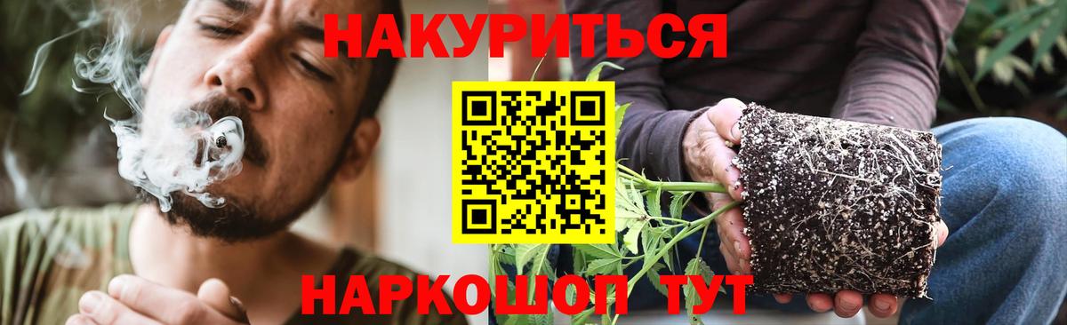 Бошки Шишки гибрид Элиста
